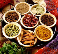 Indian Spice
